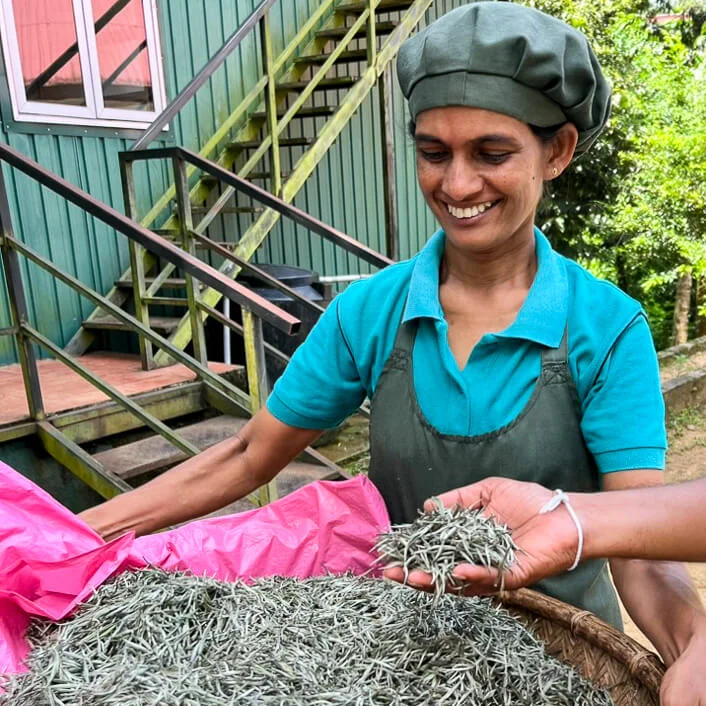 Ceylon Tea Market