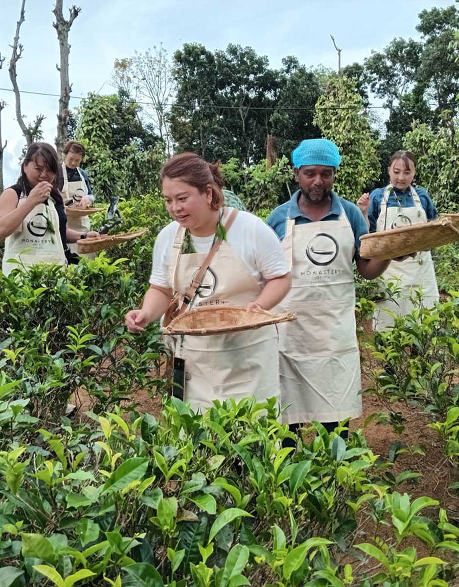 Ceylon Tea Market