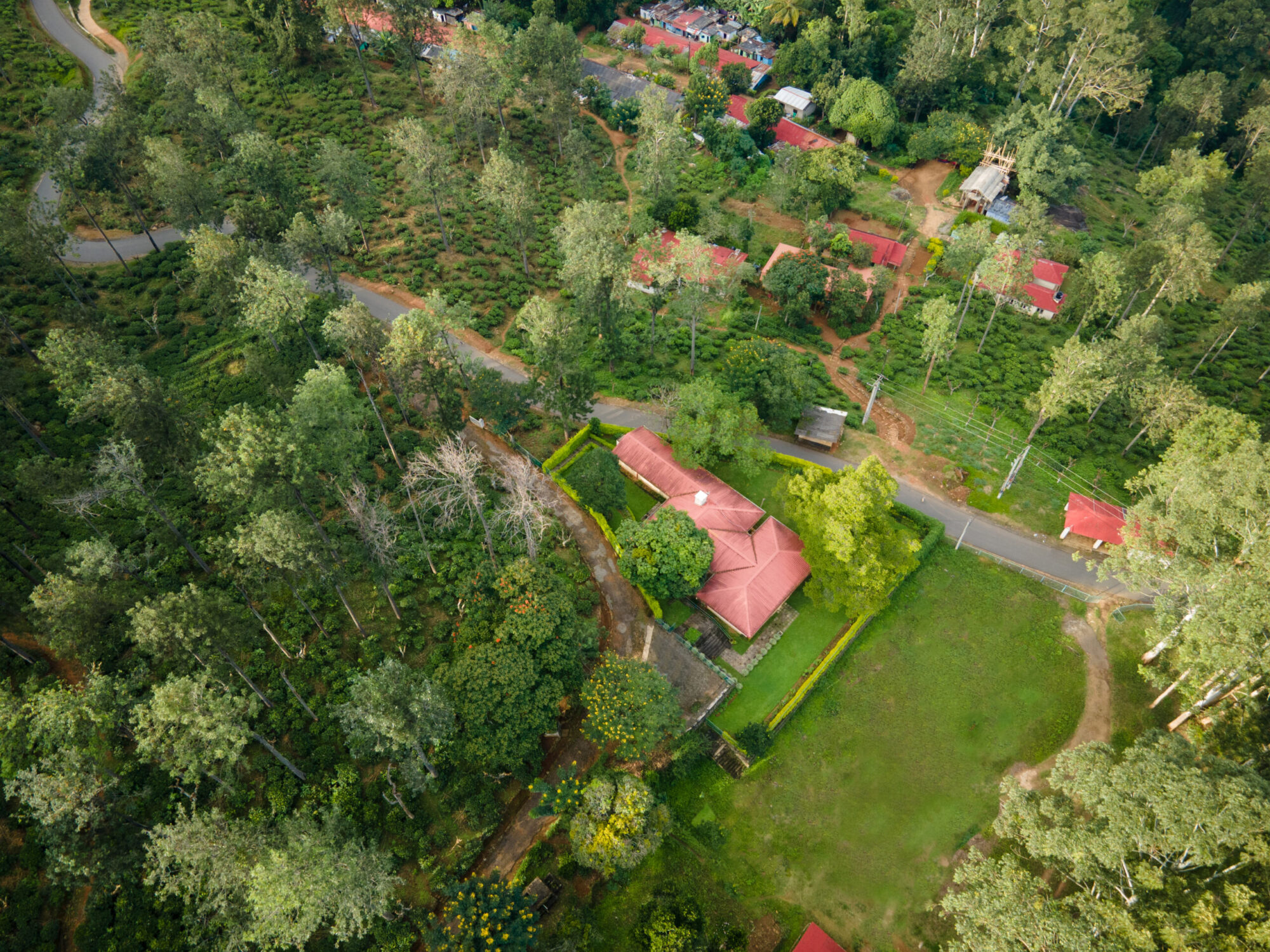 Ceylon Tea Market