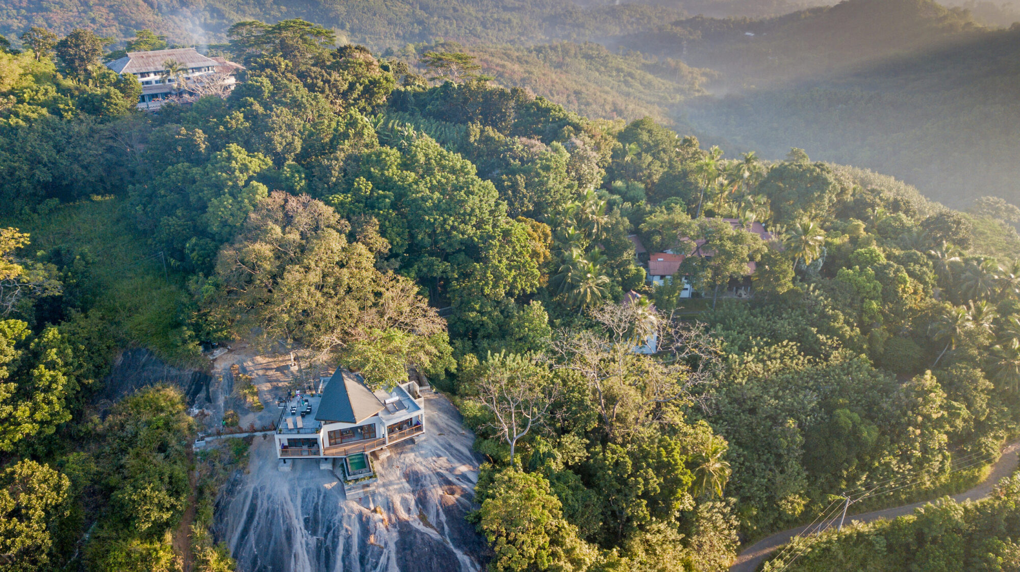 Ceylon Tea Market
