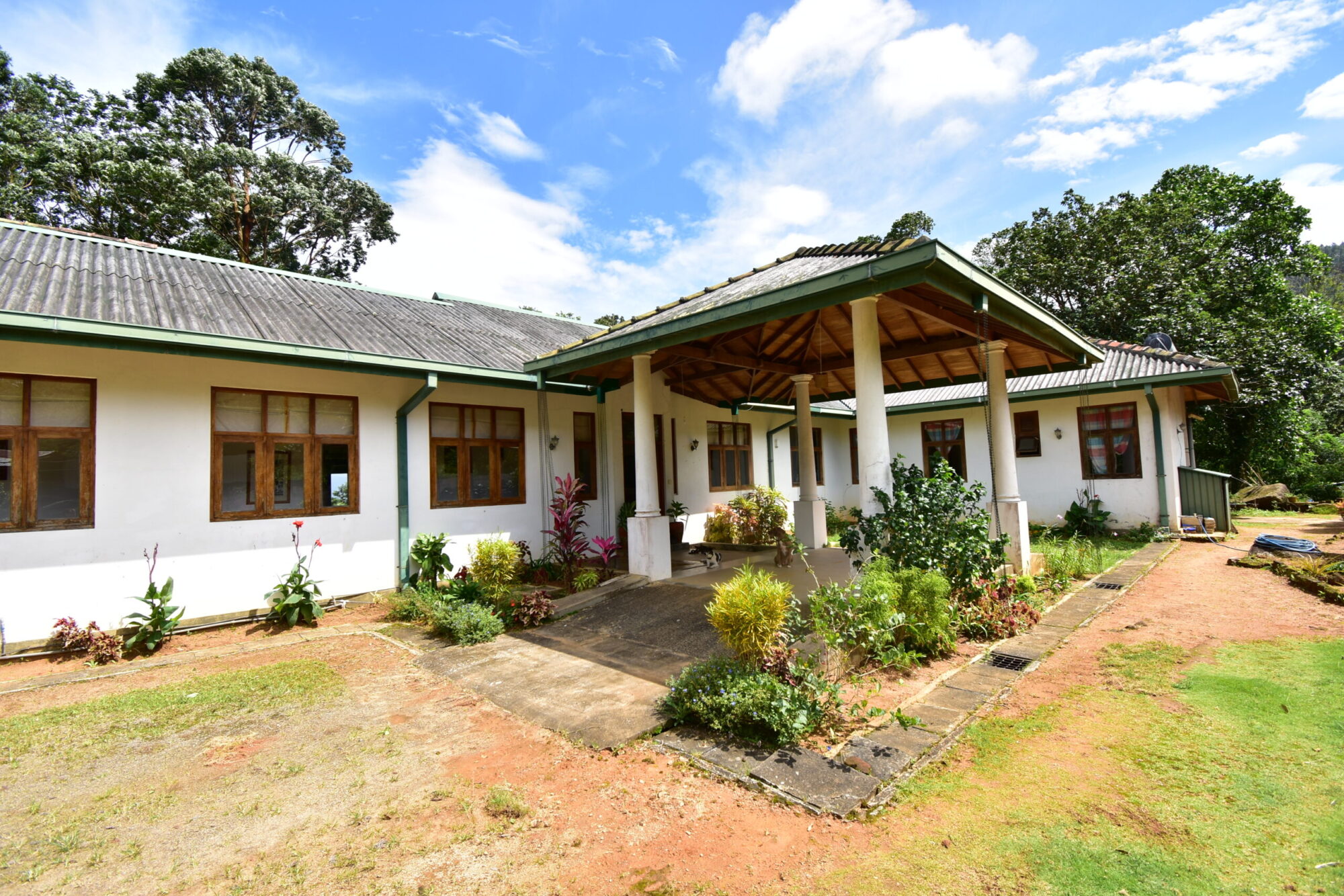 Ceylon Tea Market