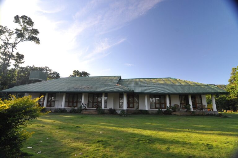 Ceylon Tea Market