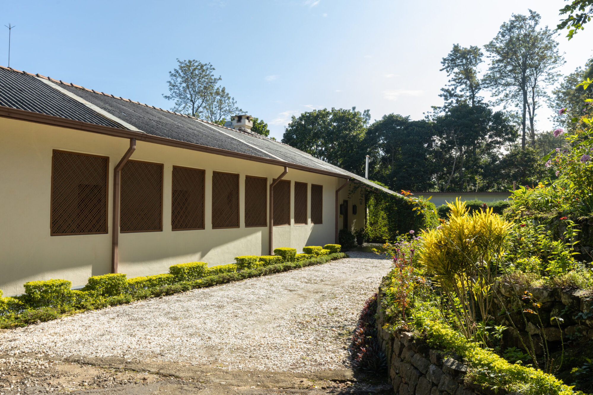 Ceylon Tea Market