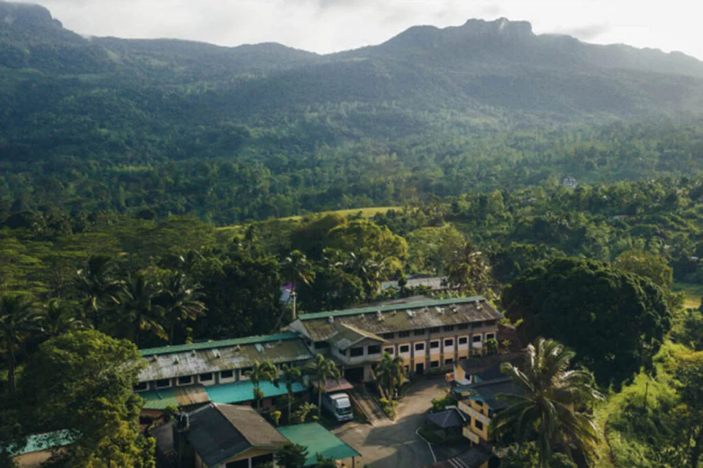Ceylon Tea Market