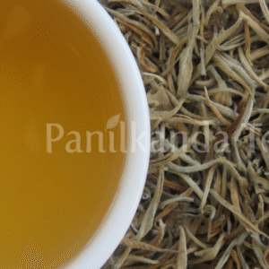 Panilkanda Silver Tips