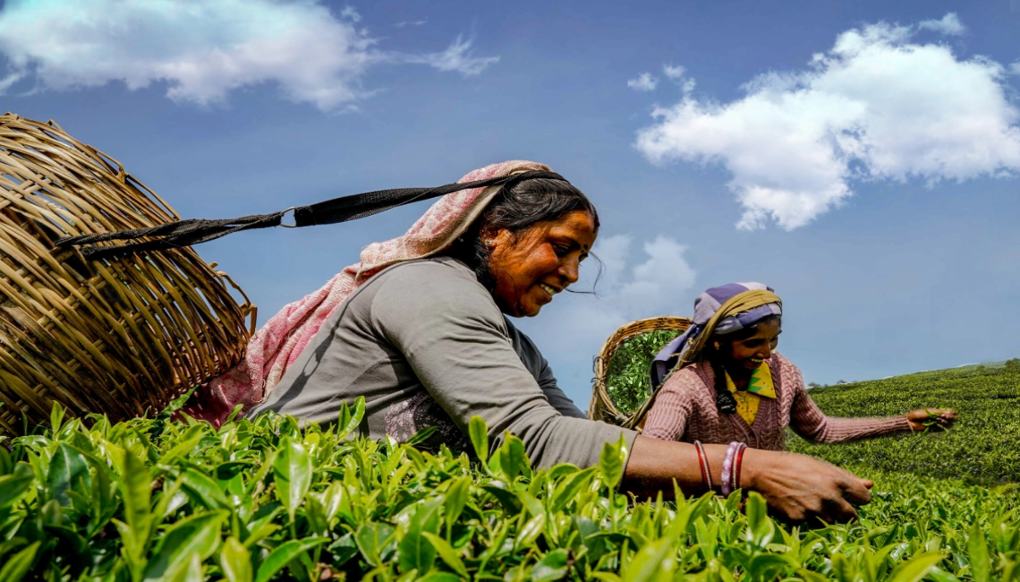 Ceylon Tea Market