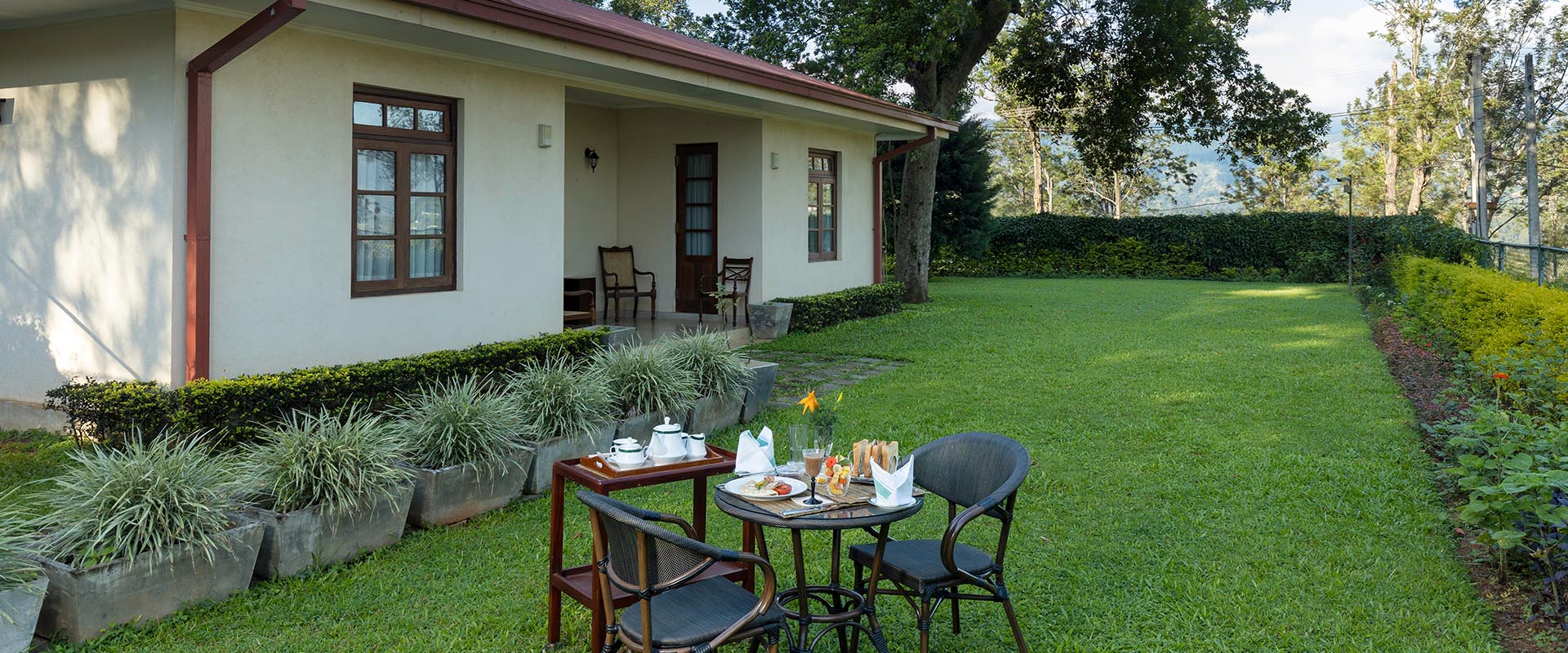 Ceylon Tea Market