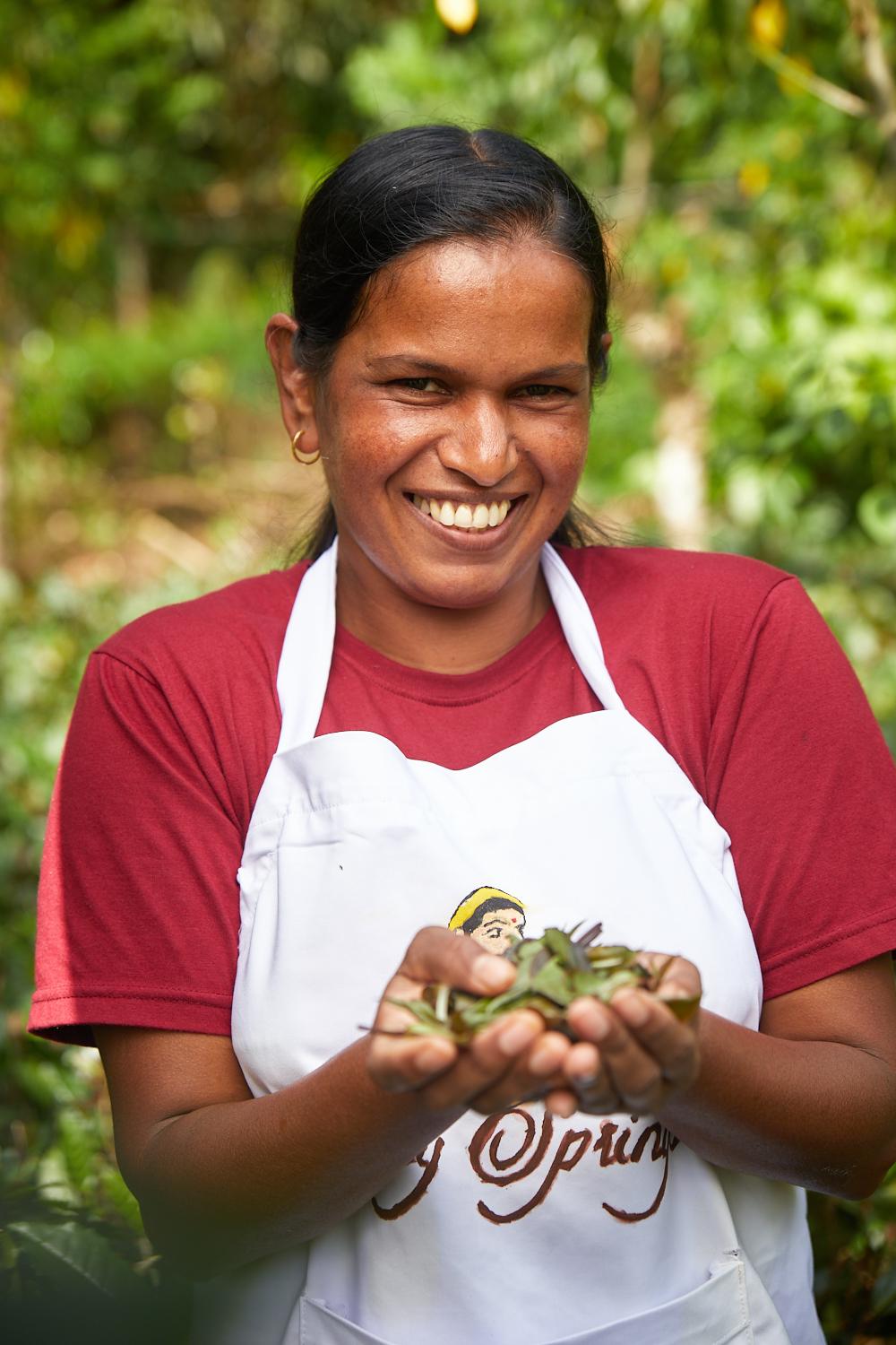 Ceylon Tea Market