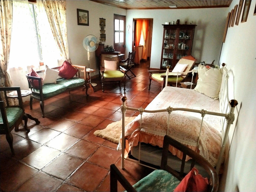 Ceylon Tea Market