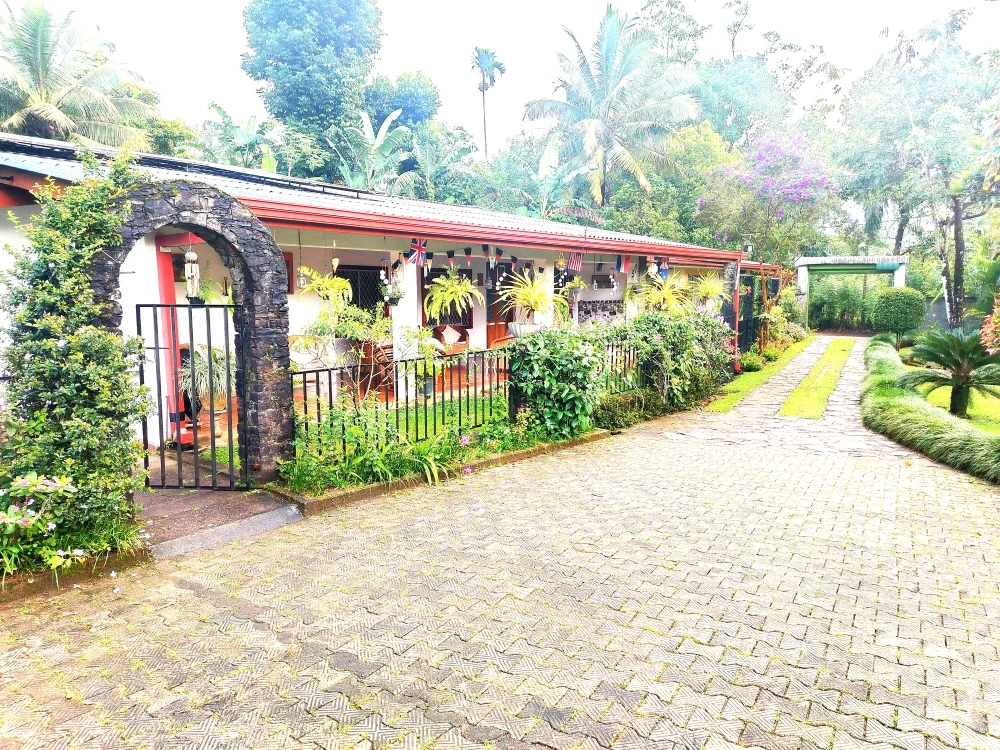 Ceylon Tea Market