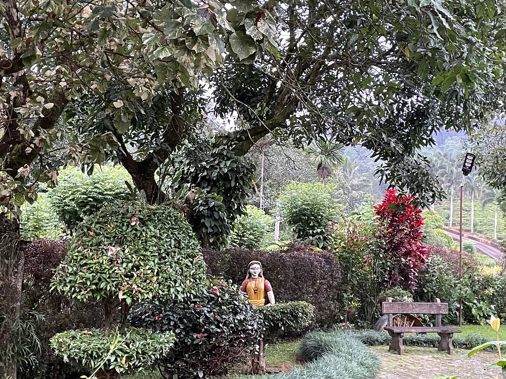 Ceylon Tea Market
