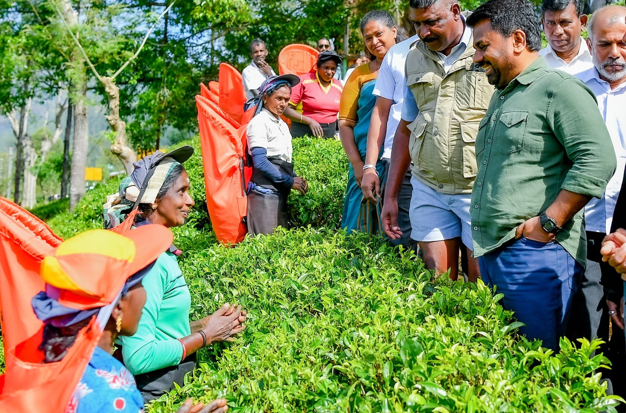 Ceylon Tea Market