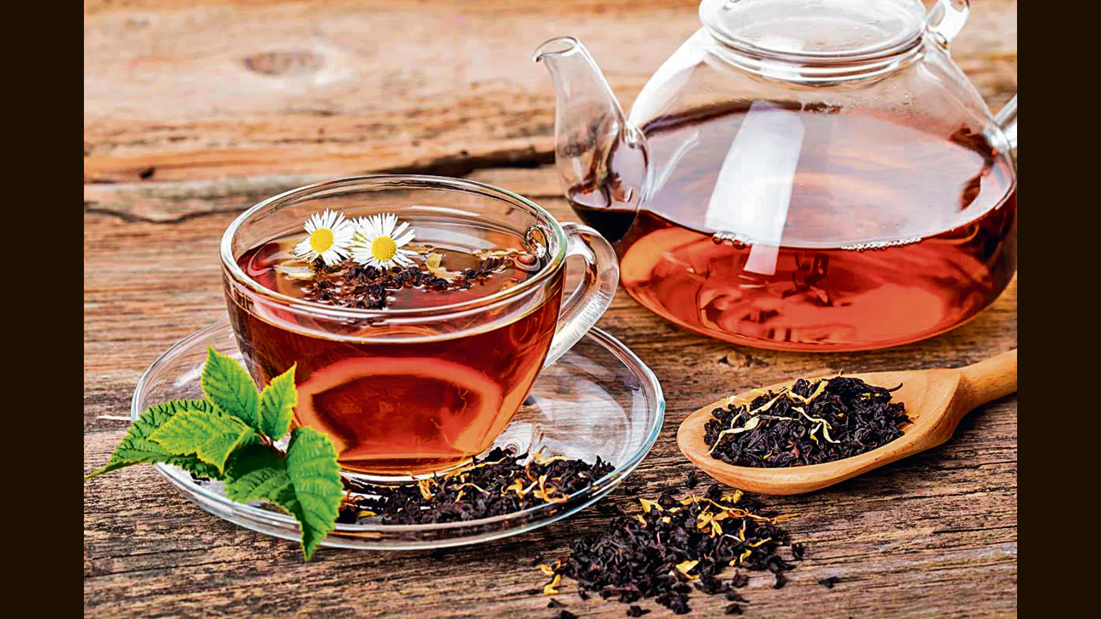 Renuka Teas ceylon (Pvt) Ltd