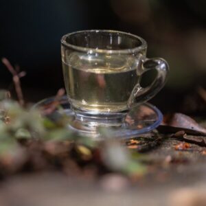 Green Tea with Jasmine