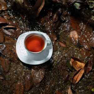 I Tantalize You Seductively